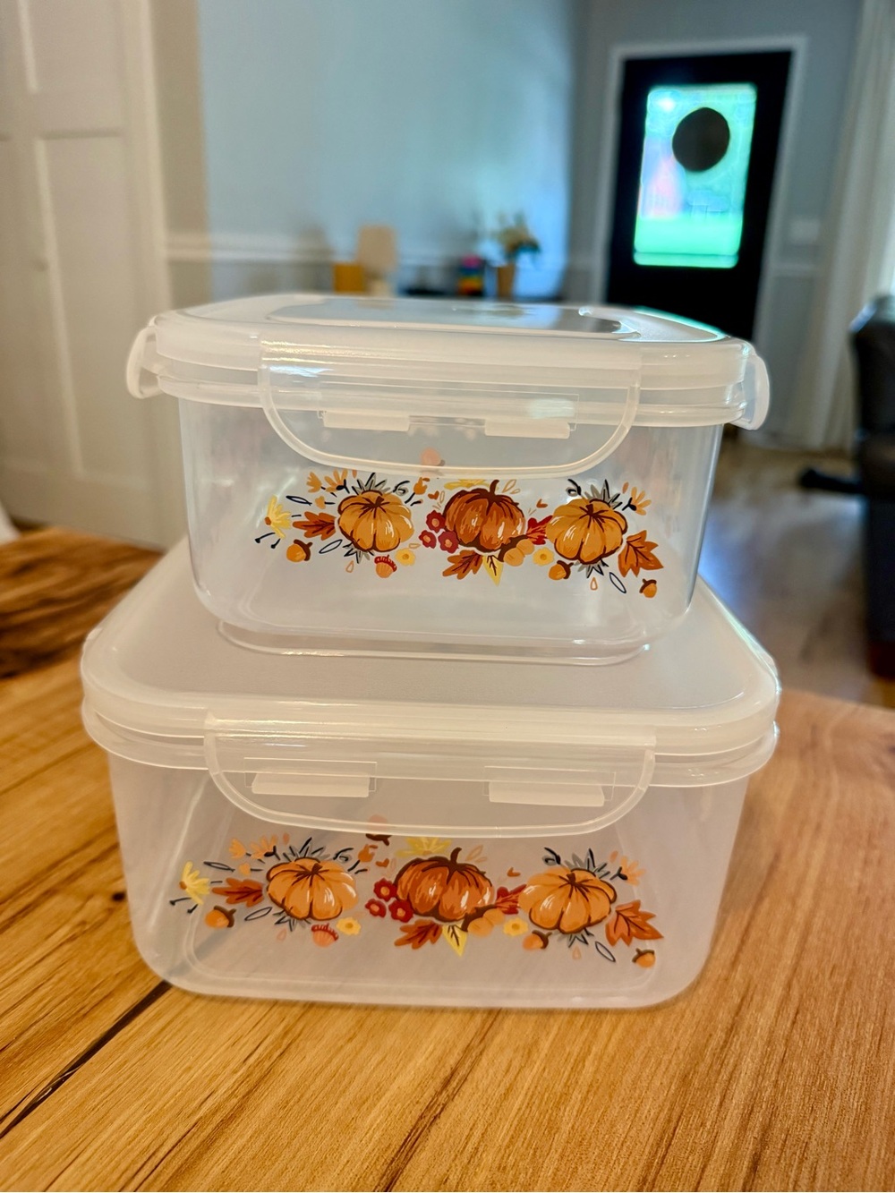 Plastic Food Storage Containers with Pumpkin Print - Clear/Orange